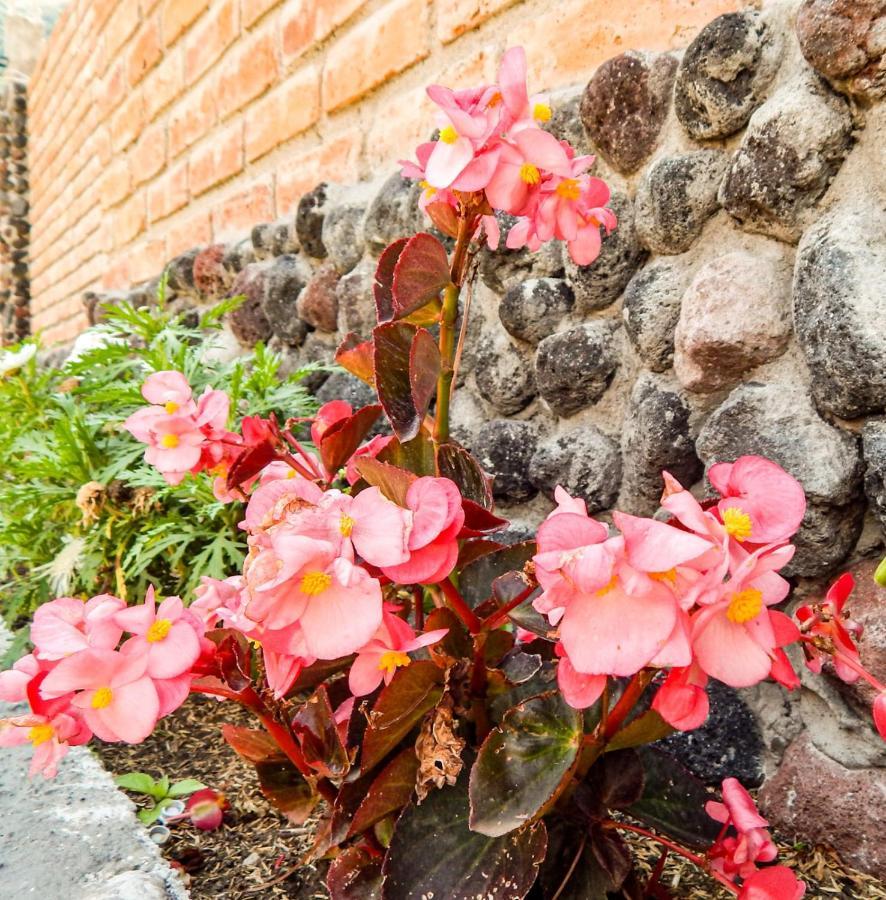 Pampa Garden 호텔 Quillullaco 외부 사진